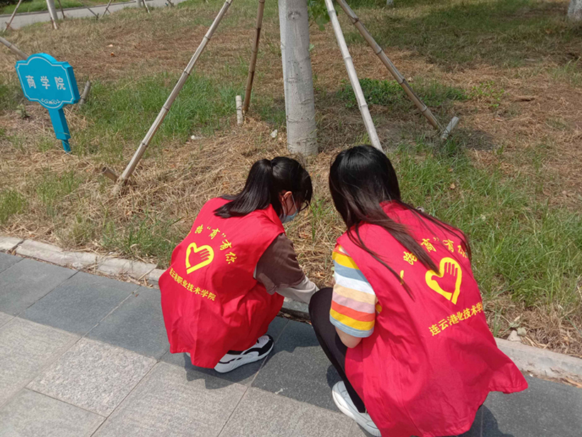 SXY 0602-1_副本1.jpg SXY 0602-1_副本1.jpg