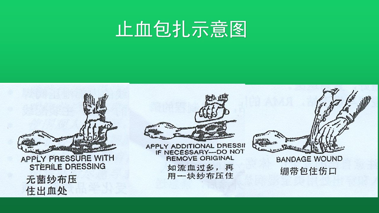 幻灯片13.JPG