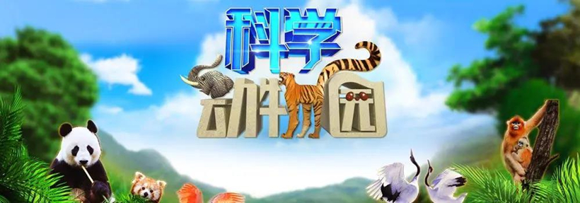 YHX 0527-1_副本1.jpg YHX 0527-1_副本1.jpg