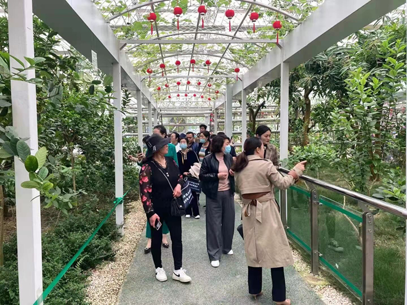 JJY 0526-2_副本2.jpg JJY 0526-2_副本2.jpg